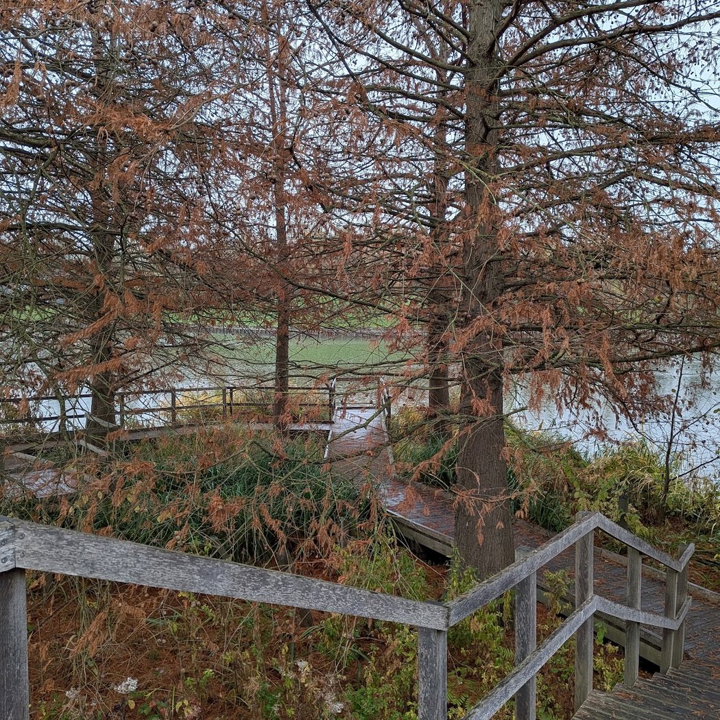 Amérique Garden 3